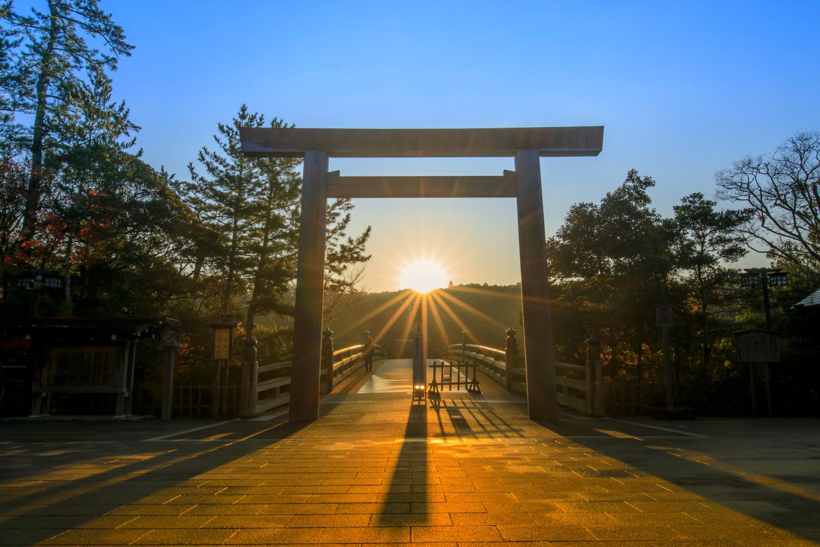 Shrine Experience